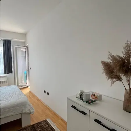 With A Balcony Near Center Проживання в сім'ї